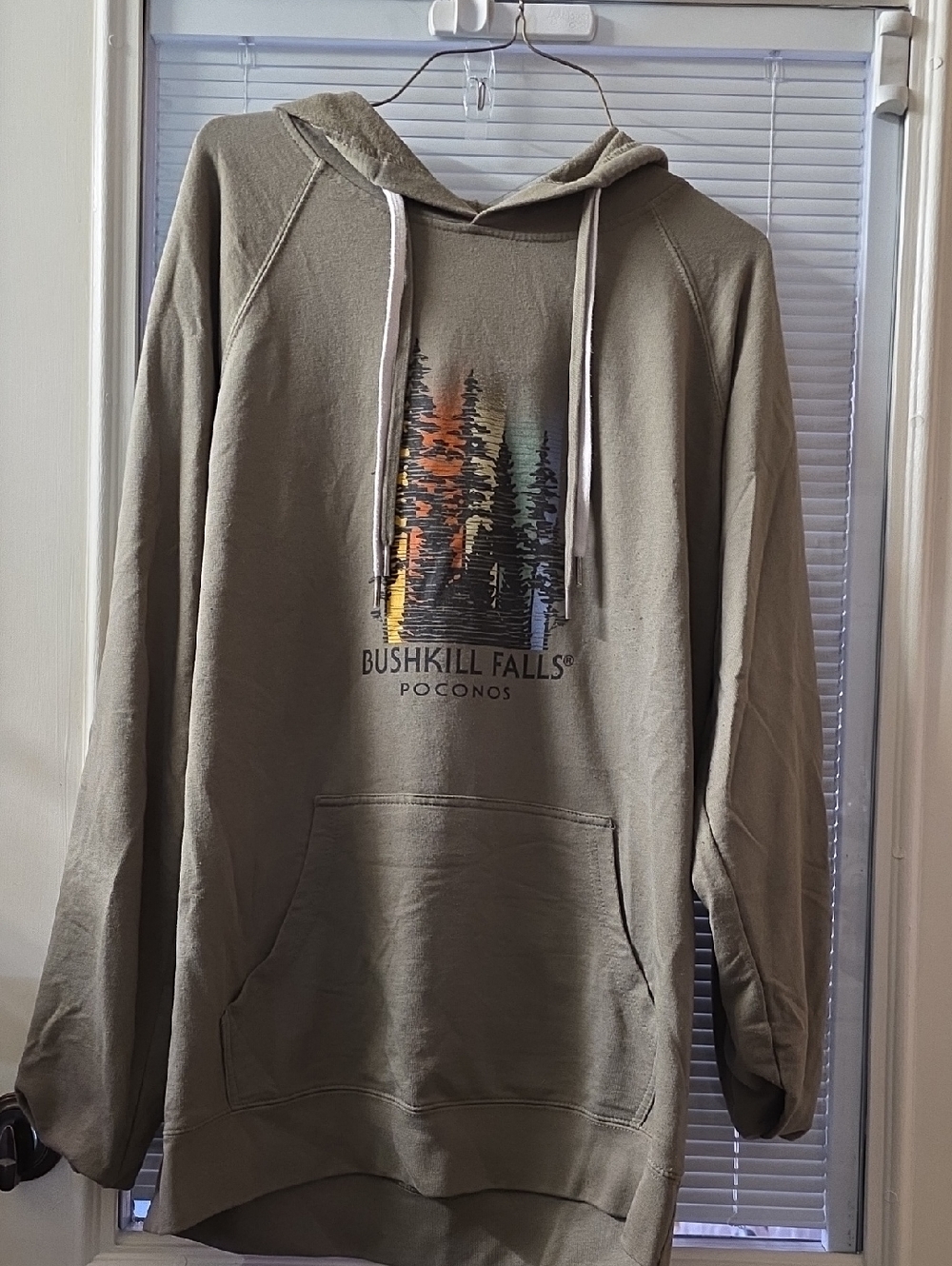 Bushkill Falls Olive Graphic Hoodie - Men's Pullover with Tree Print